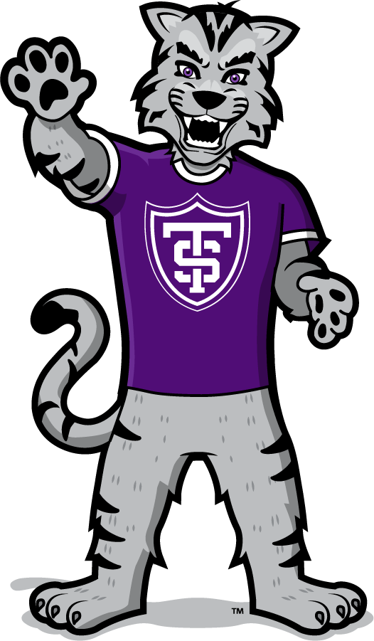 St. Thomas Tommies 2021-Pres Mascot Logo diy iron on heat transfer